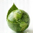 An icon symbolizing sustainability, such as a leaf or a recycling symbol.